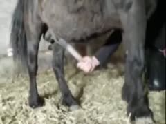 Large-titted, fuck-hungry women love masturbating the largest cocks.